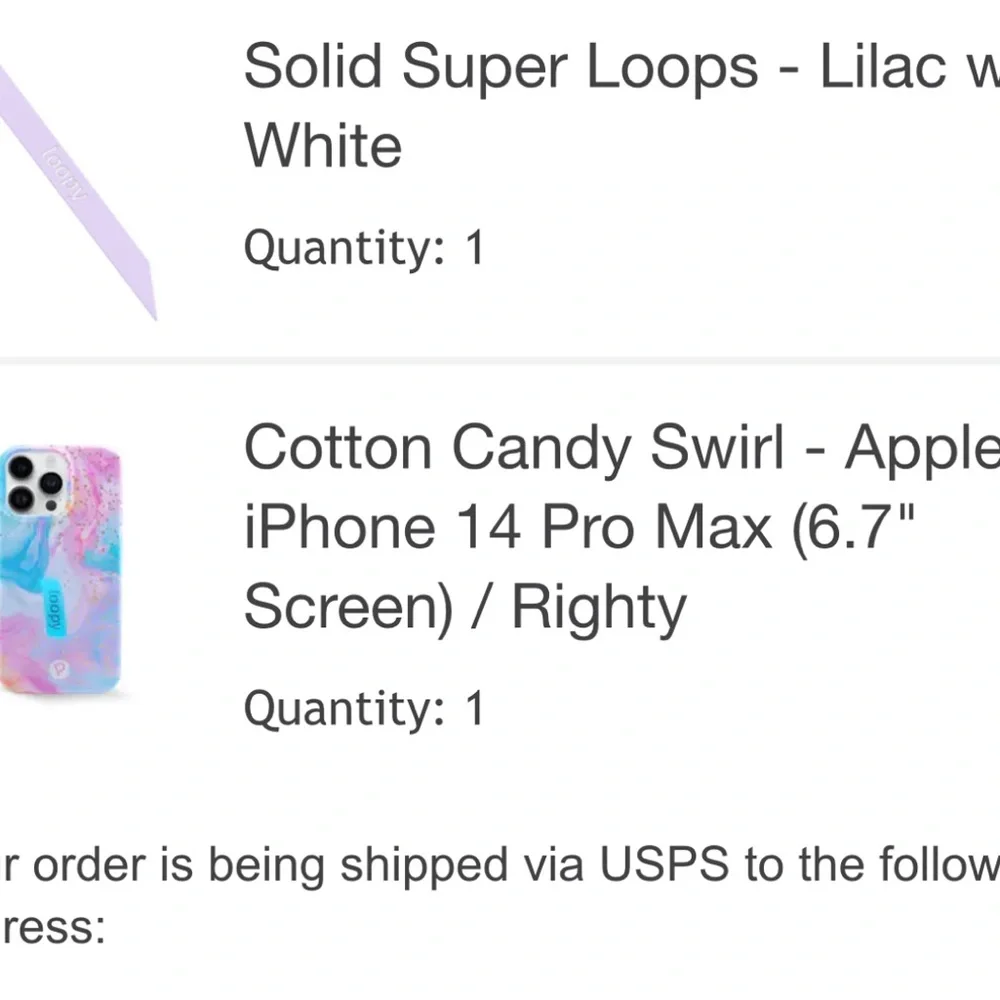Loopy Case cotton candy swirl and bundle